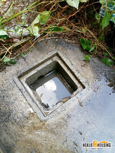 清掃後の排水桝